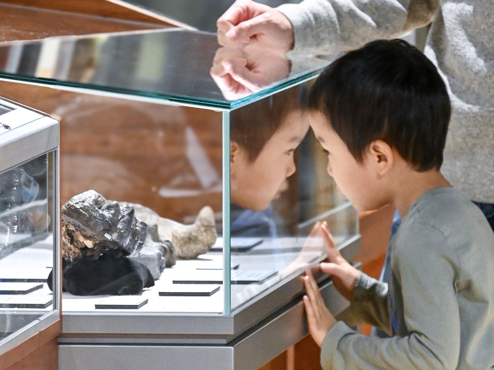 A young visitor enjoys the museum