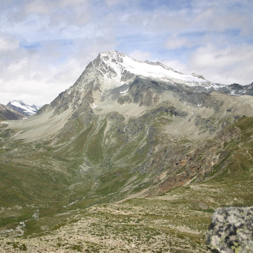 Photo of a high snow capped mountain with green grass in the foreground