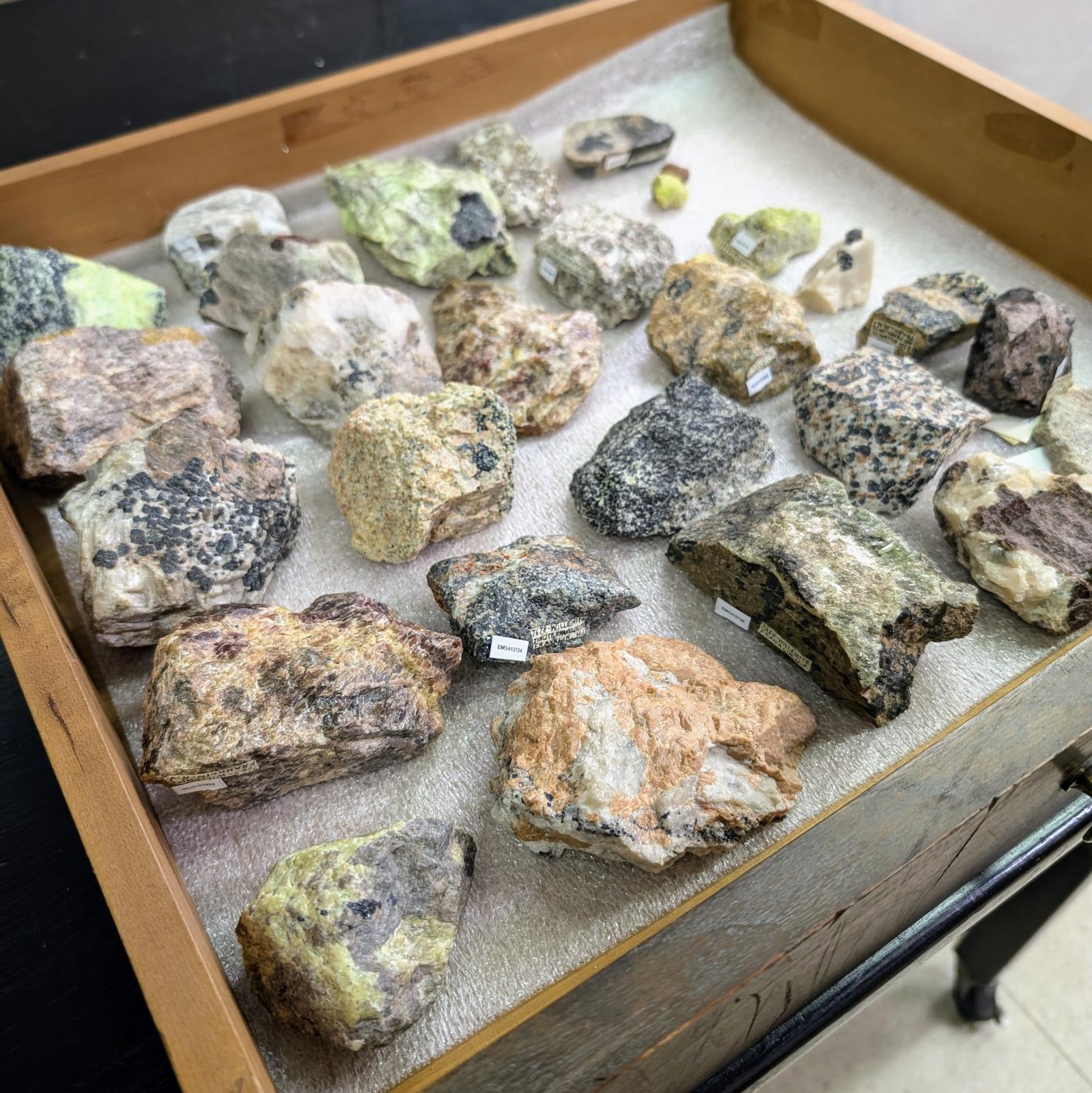 Colorful mineral hand specimens in a wooden drawer lined with white foam