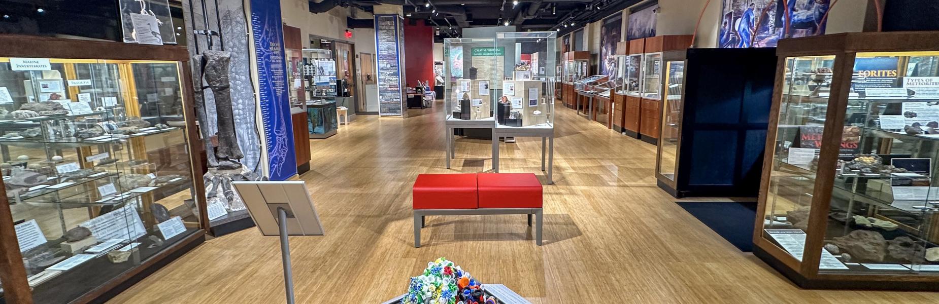 Museum gallery with light oak wood floors, glass cases, a red bench