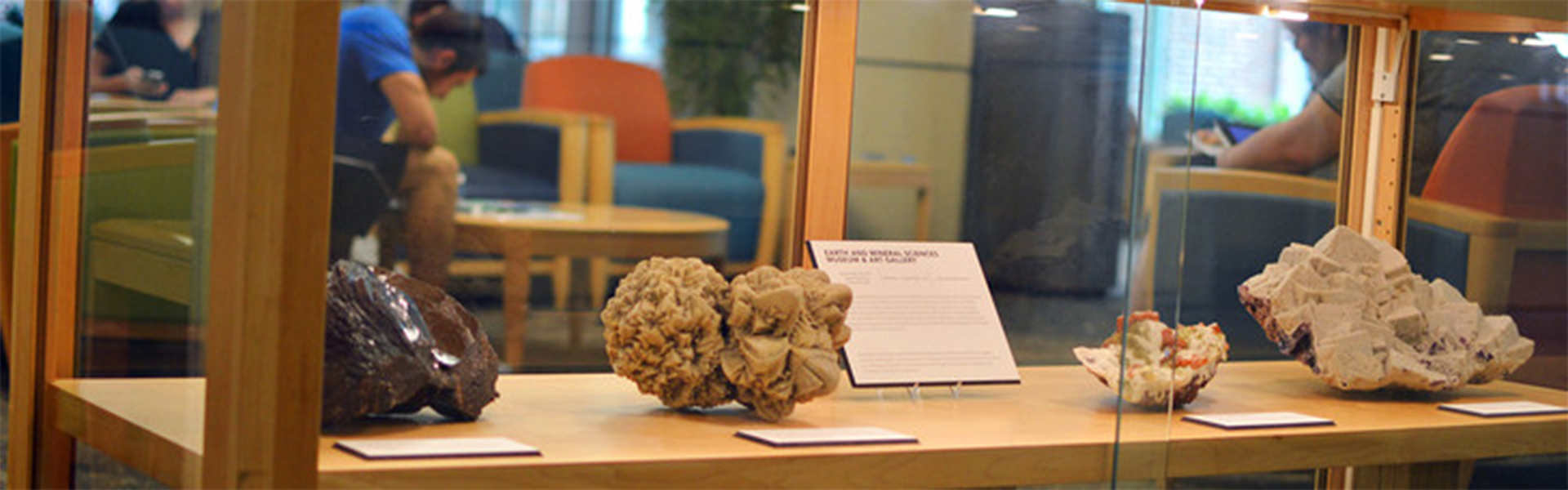 display case